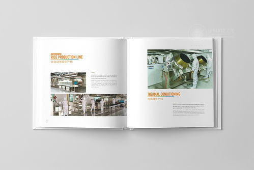企業(yè)形象策劃與品牌畫冊設(shè)計(jì) 提升品牌影響力的關(guān)鍵